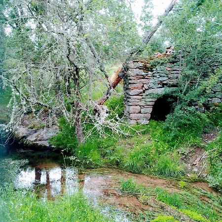 Casa Do Pardal Semesterbostad