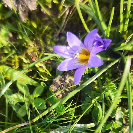 Casa Do Pardal * Mido