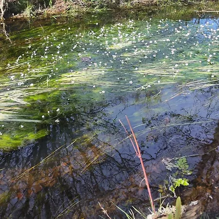 Casa Do Pardal Hébergement de vacances