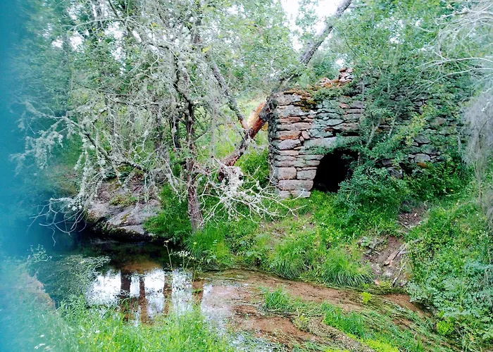 Casa Do Pardal Hébergement de vacances